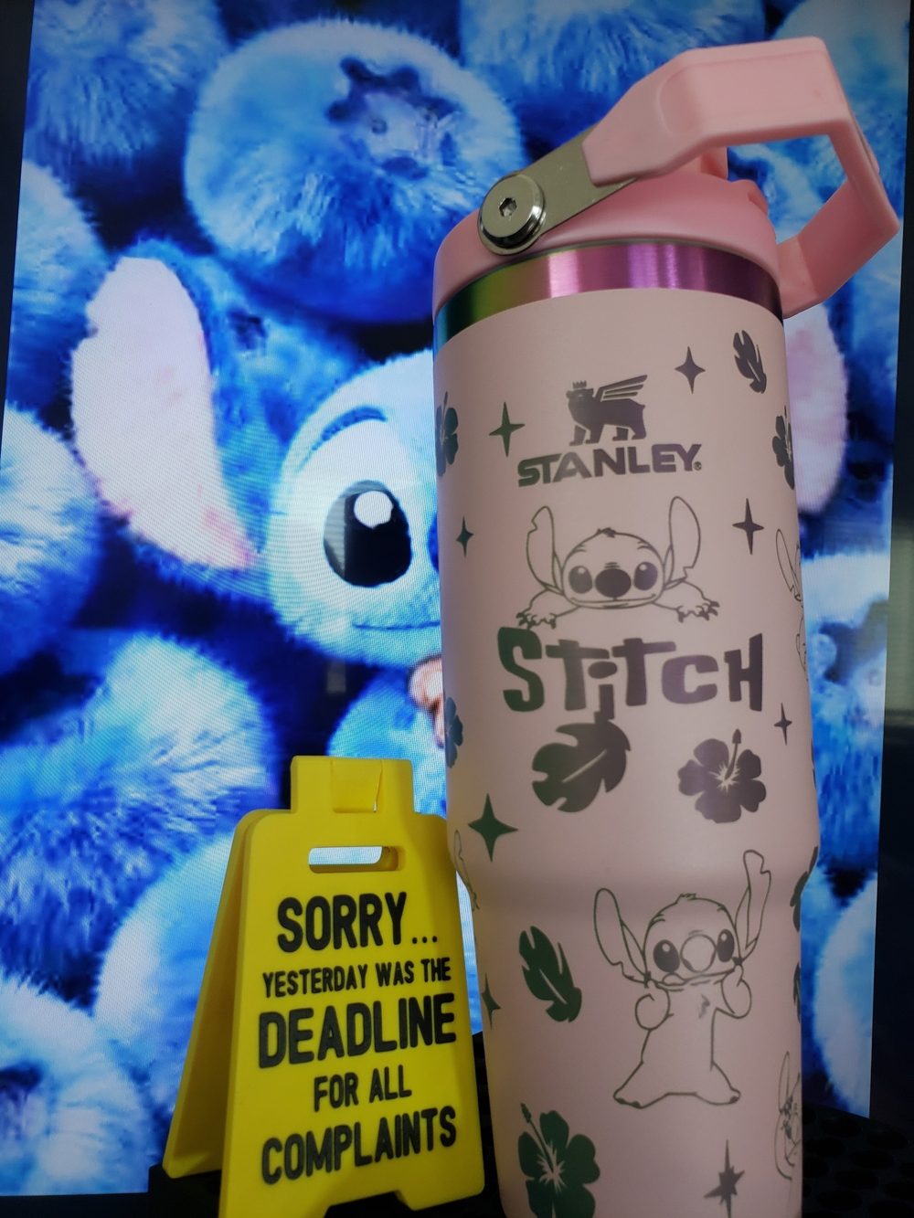 Flip Straw Stich Ohana
